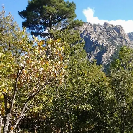 Luksusowy namiot De Charme 2 *